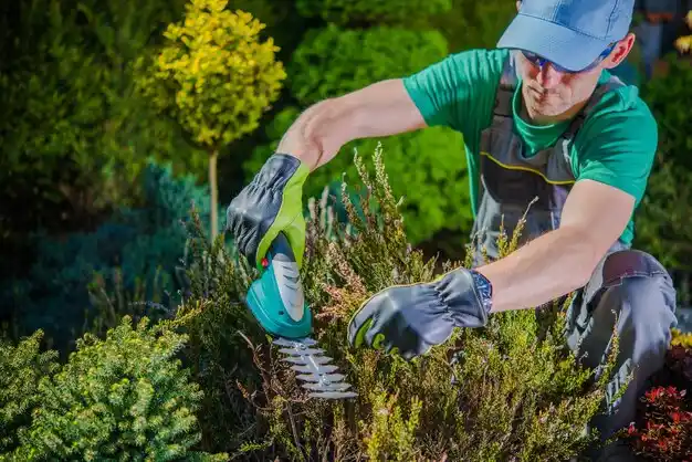 landscaping services Lathrop